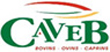 caveb